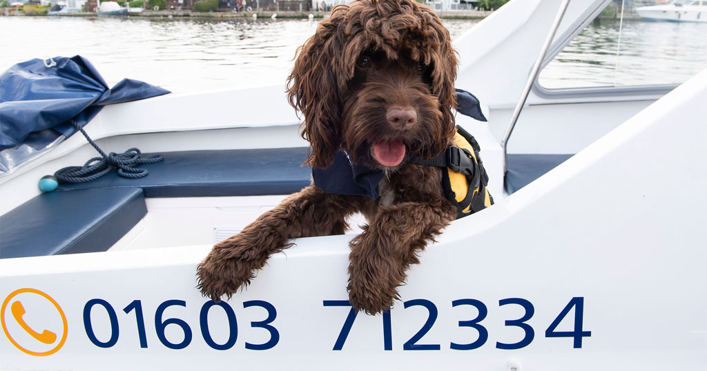 Dog on a day boat for hire