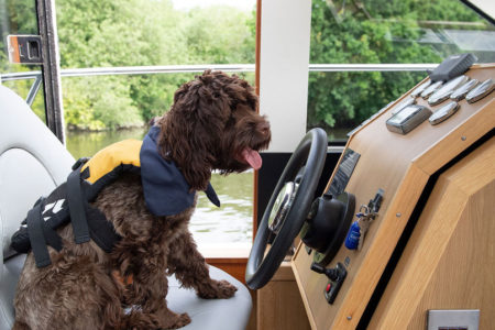 A dog at the helm of a boat